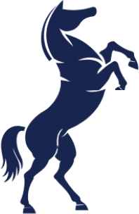 The Zaldi stallion